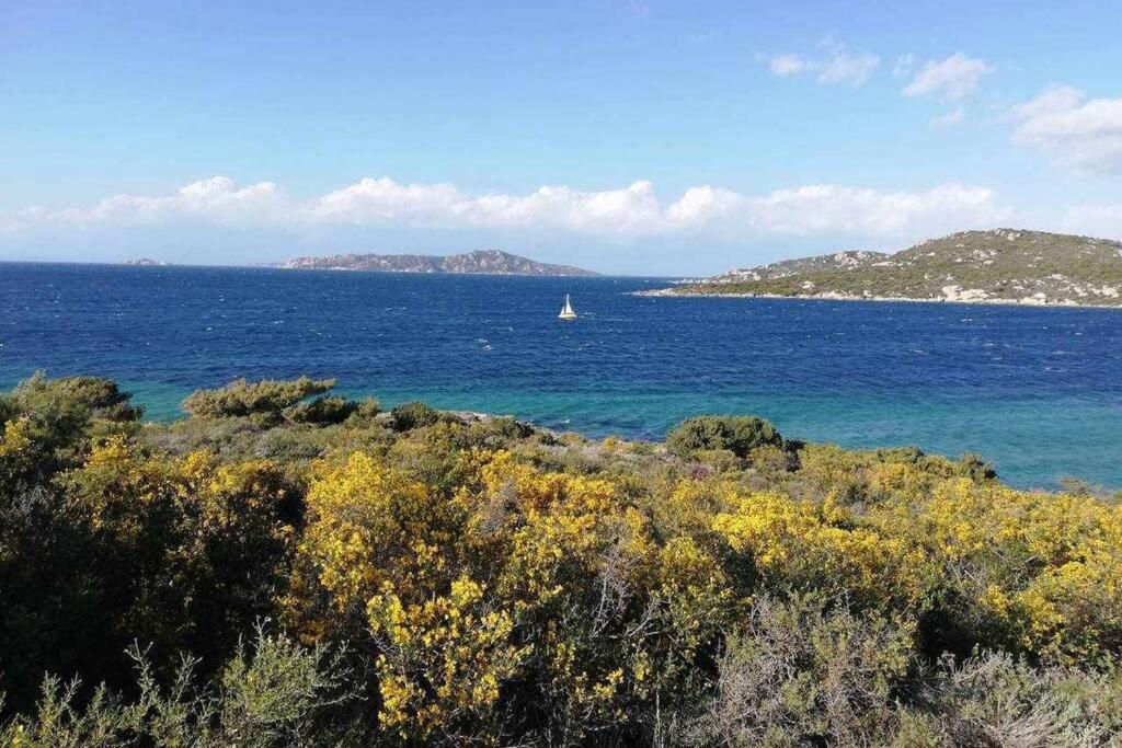 Casa Di Lu' - Bilocale Con Giardino - Porto Pollo Διαμέρισμα Εξωτερικό φωτογραφία