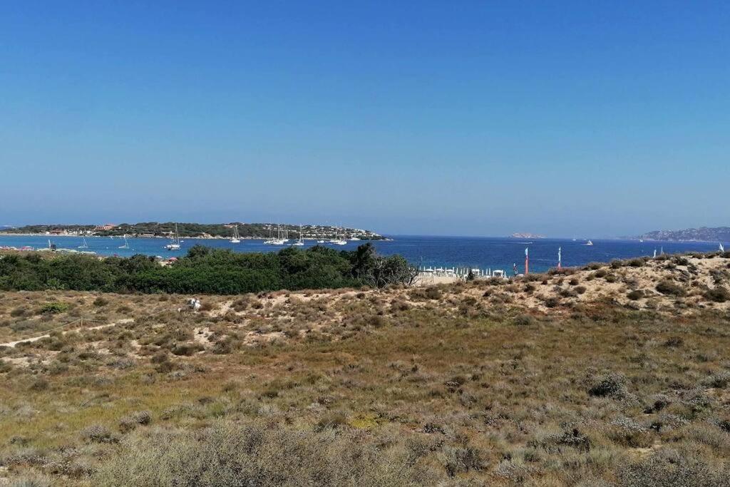 Casa Di Lu' - Bilocale Con Giardino - Porto Pollo Διαμέρισμα Εξωτερικό φωτογραφία