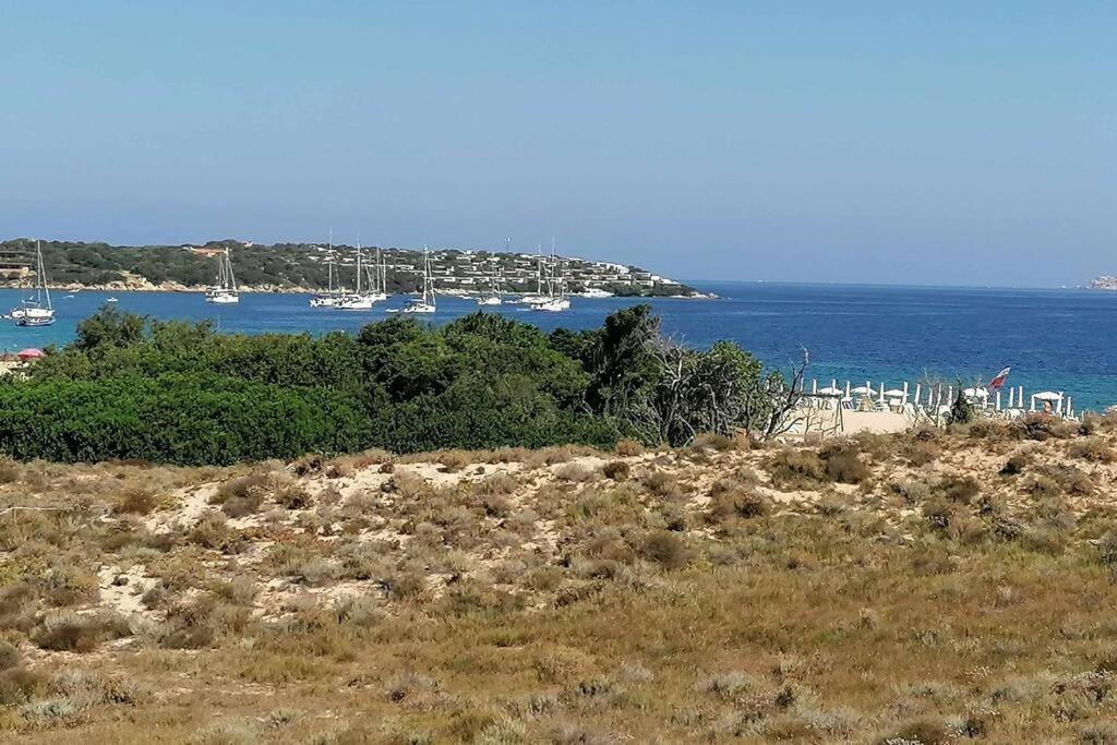 Casa Di Lu' - Bilocale Con Giardino - Porto Pollo Διαμέρισμα Εξωτερικό φωτογραφία
